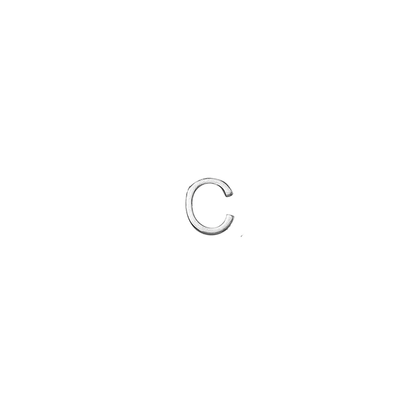 Forever Charm C