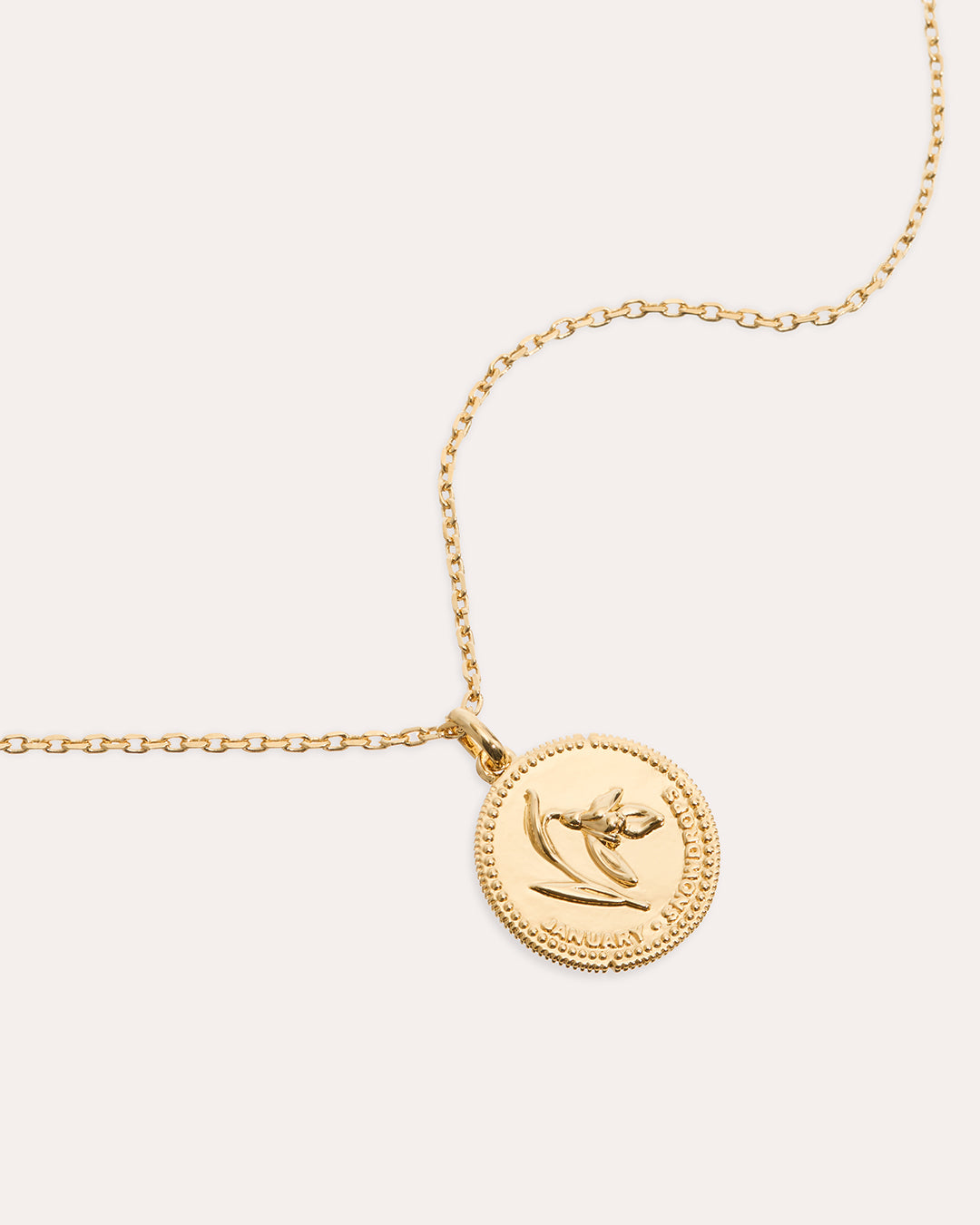 Månadsblomma Januari Guldhalsband By Sofia Wistam